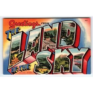 Vintage Greetings from The Land of the Sky Asheville NC Linen Postcard